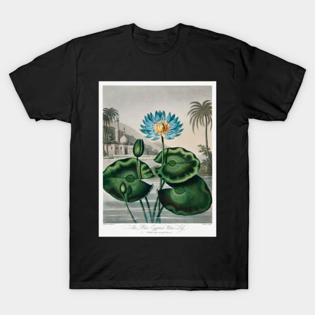 The Blue Egyptian Water-lily T-Shirt by Cleopsys